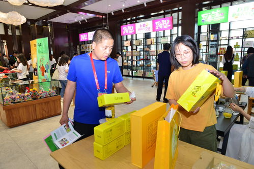 巨鹿新章 禮儀服務助力第二屆旅發大會，繪就全域旅游新畫卷